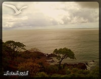 کانسالیم مونته گوا